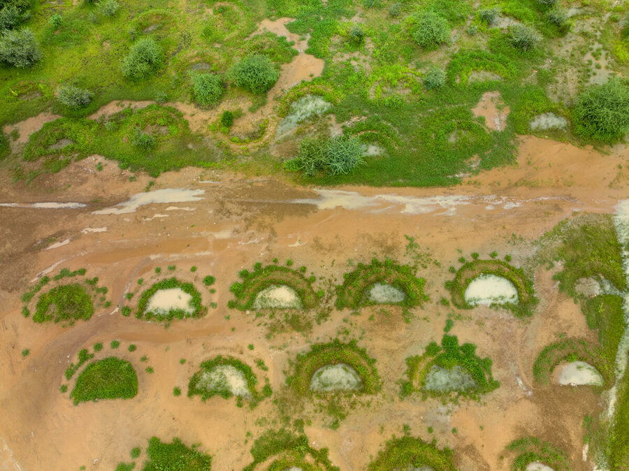 Mounrey, Niger. In total, 1,128 vulnerable households benefited from FFA interventions. They rehabilitated more than 833 hectares of land through a combination of pastoral half-moons, tree