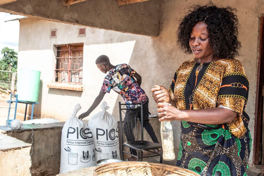 Zambia. Catherine, a smallholder farmer, packs maize in a hermetic storage bag