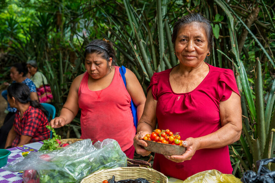 Guatemala. Women in the Plan de Jocote community are growing drought-resistant crops as part of WFP's resilience-building initiative and are now ready for the dry season. 