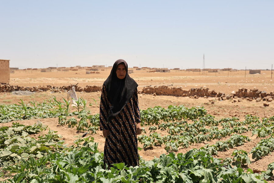 Taladaman near Aleppo Hussam Al Saleh