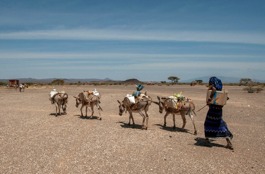  Donkeys are used to assist in transporting food as WFP scales up its drought response operations in the Horn of Africa. Photo: WFP/Alessandro Abbonizio