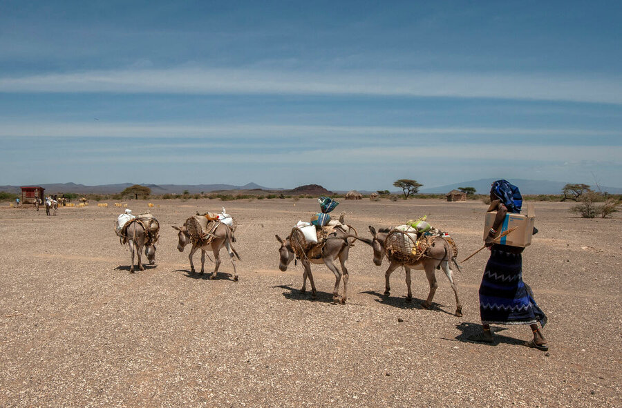 Donkeys are used to assist in transporting food as WFP scales up its drought response operations in the Horn of Africa. Photo: WFP/Alessandro Abbonizio