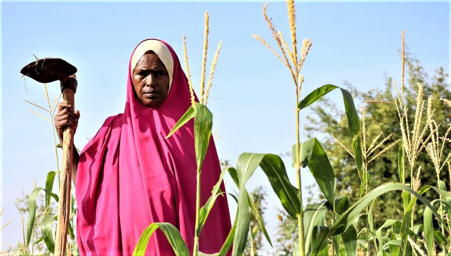 Muhuba Hassan Warsame has been able to nurture her farm and grow nutritious food. Photo: WFP/Geneva Cataloupous