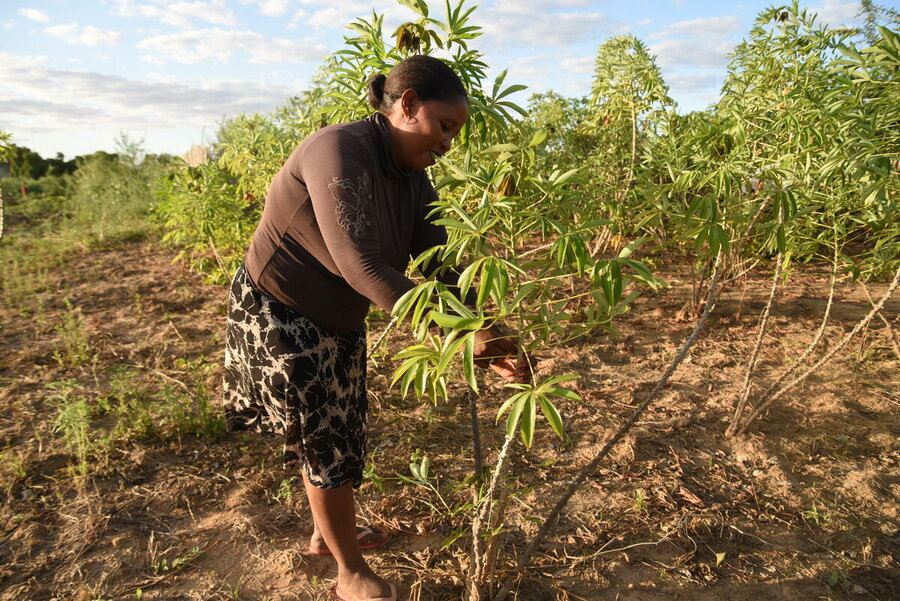 Naina is harvesting manioc on her field in Madagascar