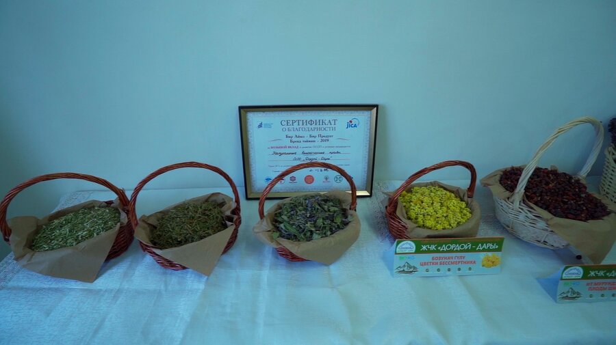 Herbal products on display in At-Bashy. There are now plans to market them internationally. Photo: WFP