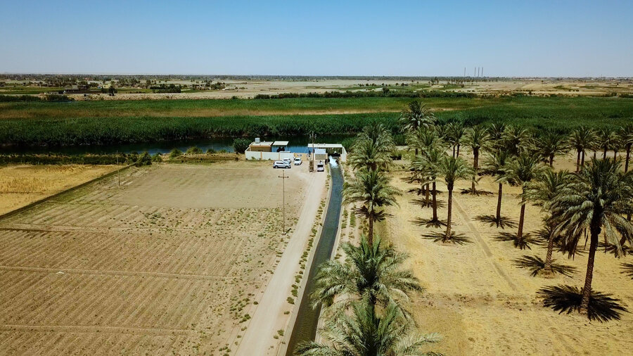 In Iraq's Basra region, soaring temperatures and droughts have slashed yields by as much as 50 percent. Photo: WFP/photolibrary