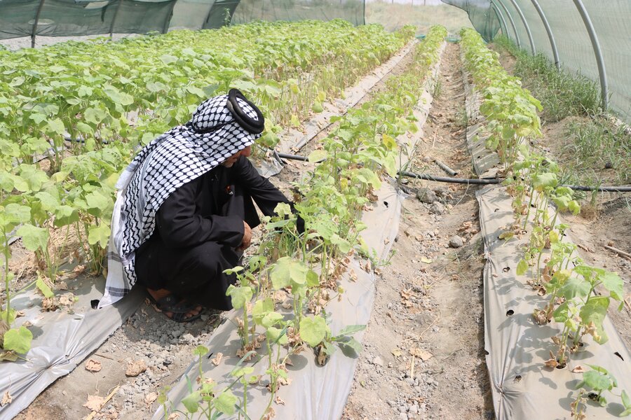 Jermal tends to his heat-affected plants. Photo: WFP/Photolibrary