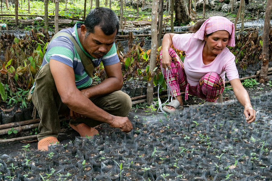 Farmers tend to seedlings at a WFP-supported tree nursery in the Philippines. Photo: WFP/Rein Skullerud