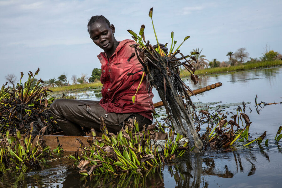 South Sudan: in Unity State WFP is helping communities turn water hyacinth into charcoal that is less harmful to the environment that wood-based fuel. Photo: WFP/Gabriele Vivacqua