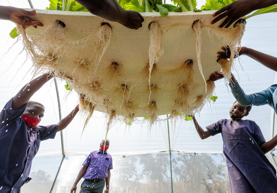 Zambia: Students in a rural school near Gwembe learn about soil-less cultivation, or hydropnics, in a greenhouse set up by WFP. Photo: WFP/Andy Higgins