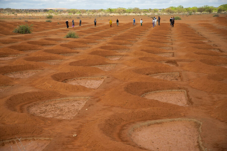 A half-moon land rehabilitation project near Gode, in Ethiopia's Somali region. In conflict-ridden countries, WFP combines emergency food assistance with land rehabilitation and other programmes to build resilience in the longer-term. Photo: WFP/Michael Tewelde