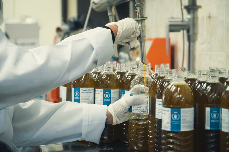Olive oil is bottled at a factory working with farmers in Nablus in the West Bank, Palestine. Photo: WFP/Mostafa Ghroz
