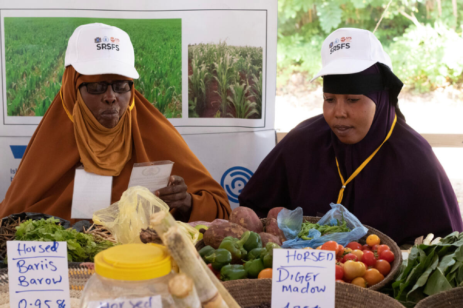 In Somalia, which has weathered drought and conflict, WFP and partners like FAO are helping to build the capacity of smallholder farmers. Photo: WFP/Moustapha Negueye