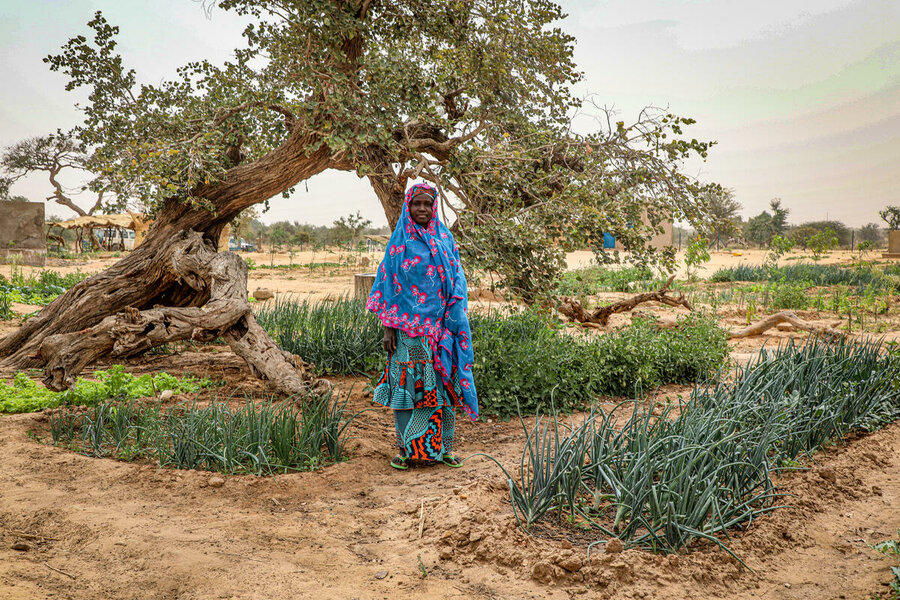 the Goubey garden site run by a group of women who contribute to improving the food situation of the people of Sokorbé. A quarter of the agricultural production is for sale and three quarters for self-consumption.