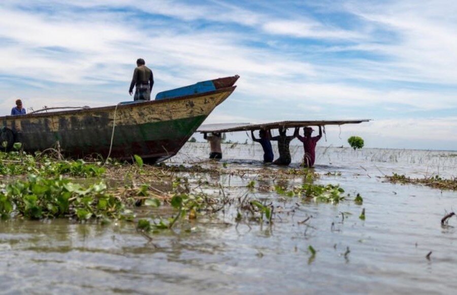 Men carry parts of a home dismantled due to riverbank erosion - a common problem due to heavy rainfall and the braided nature of Bangladesh's rivers. Photo: WFP/Sayed Asif Mahmud