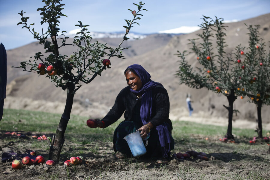 Tara Pariyar in her apple orchard. Photo: WFP/Sarwan Shrestha