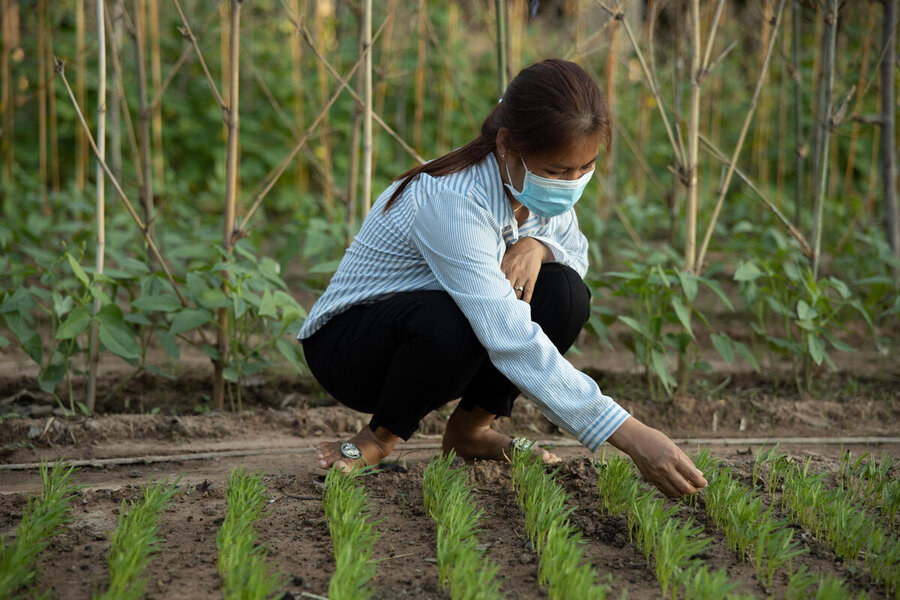 Chum Tyna supplies fresh vegetables for the WFP-supported school meals programme in Cambodia, which promotes agriculture, health and nutrition. Photo: WFP/Arete/Cesar Lopez