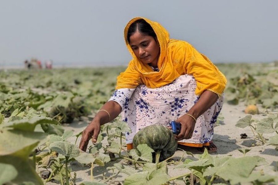 Farmer Asha Akhter, 29, says things have changed "a lot" since the WFP-supported project was launched. Photo: WFP/Lena von Zabern