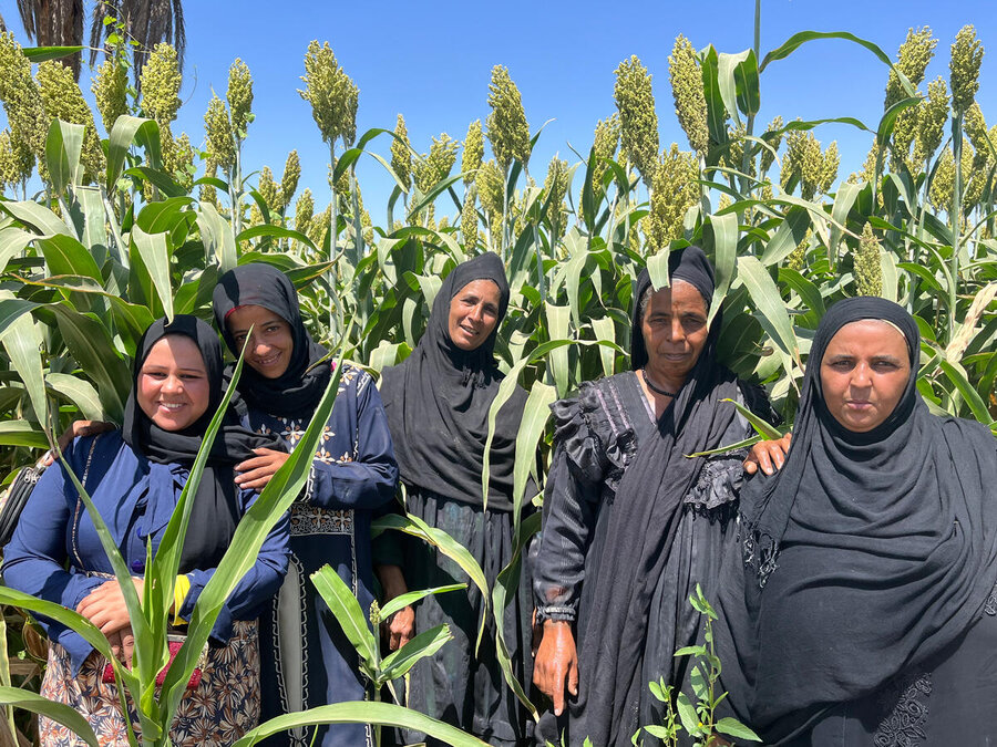 Women participating in a WFP resilience project near Cairo. Photo: WFP/Amir Moussa