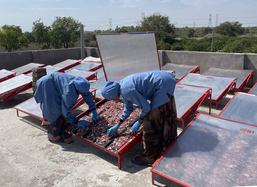 Earthshot_india_solar_drying_machines