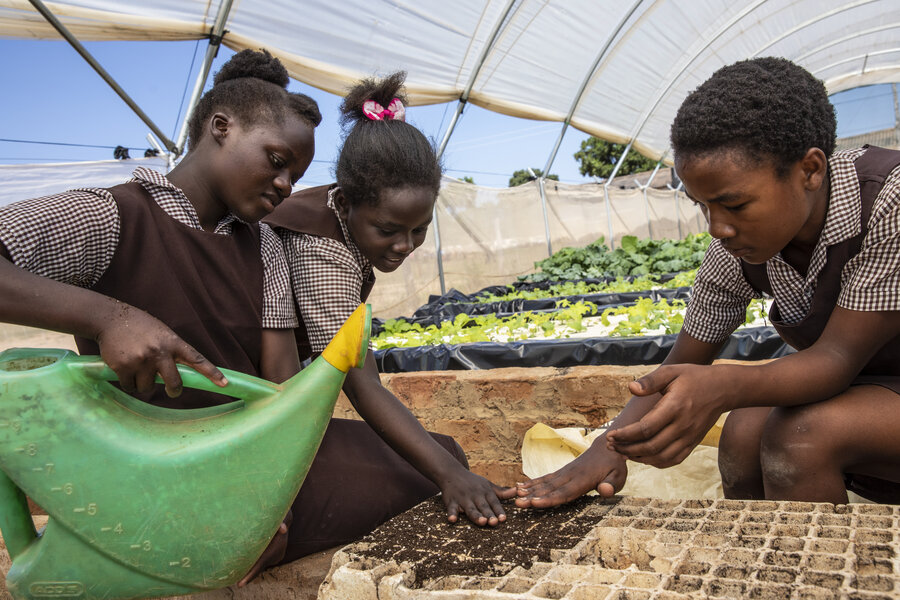 Gwembe Primary students plant seedlings for their next harvest. Their greenhouse is one example of how WFP supports Zambia in building resilience amid the climate crisis. Photo: WFP/Gabriela Vivacqua