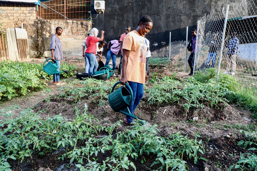 Students tend to a WFP-supported garden at Mariposa, a school for hearing- and speech-impaired learners in Bissau. Photo: WFP/Richard Mbouet  