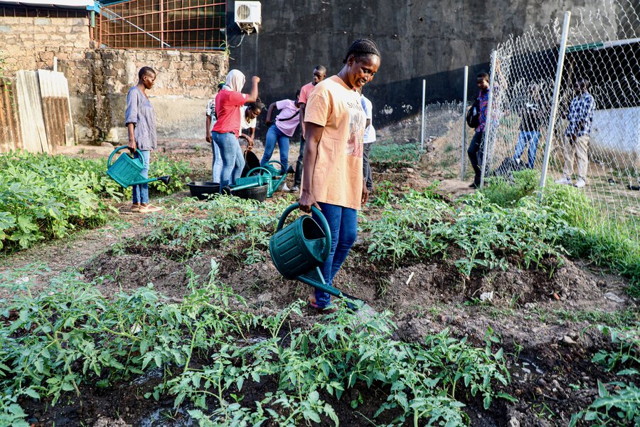 Students tend to a WFP-supported garden at Mariposa, a school for hearing- and speech-impaired learners in Bissau. Photo: WFP/Richard Mbouet 