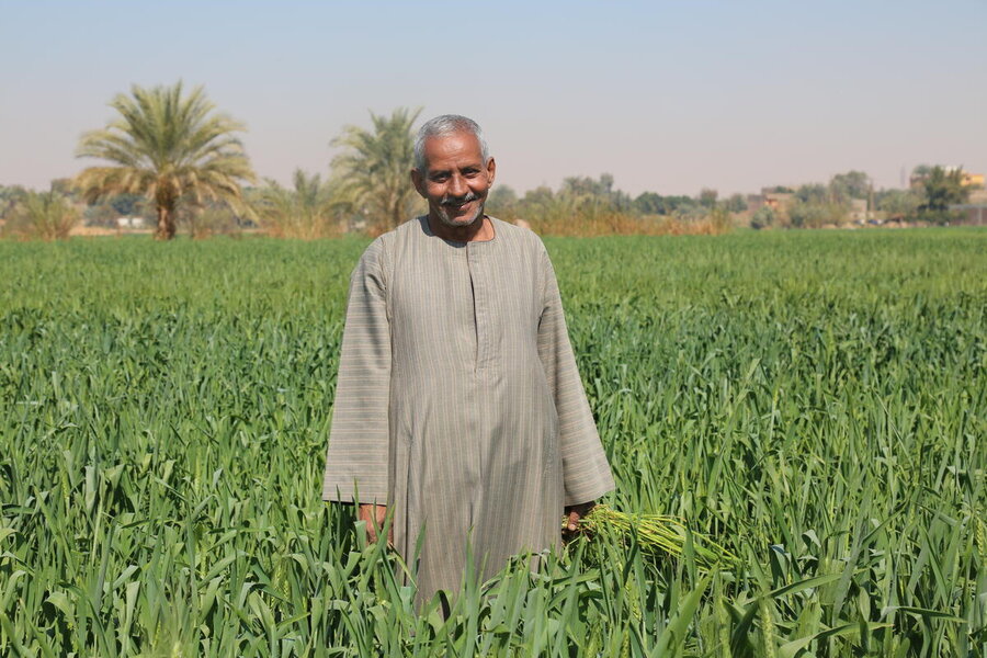 A farmer in Luxor, Egypt stands in his field.