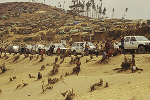 WFP cars