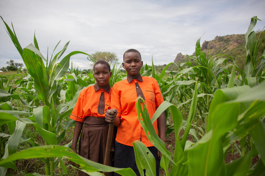 Two learners in field of maize grown to support a school in the Karamoja region of Uganda. Photo: WFP/Joel Ekström