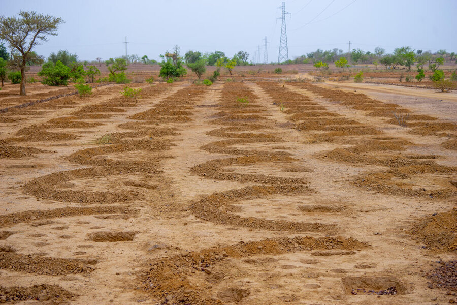 Newly dug half-moons on abandoned and once-degraded land in Reka, Burkina Faso. Photo: WFP/Cheick Omar Bandaogo