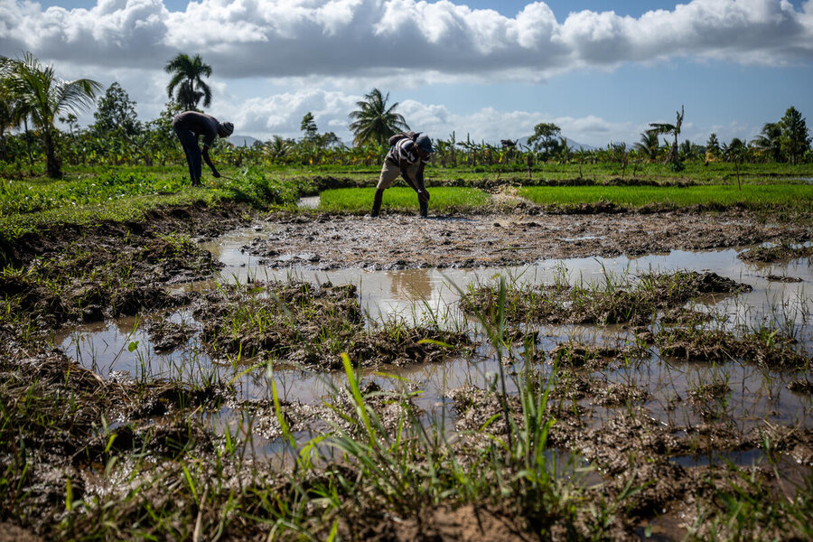 WFP analysis finds abandoned fields and soaring hunger in areas hit by gang violence, but also new plots in areas where displaced people have settled. Photo: WFP/Theresa Piorr