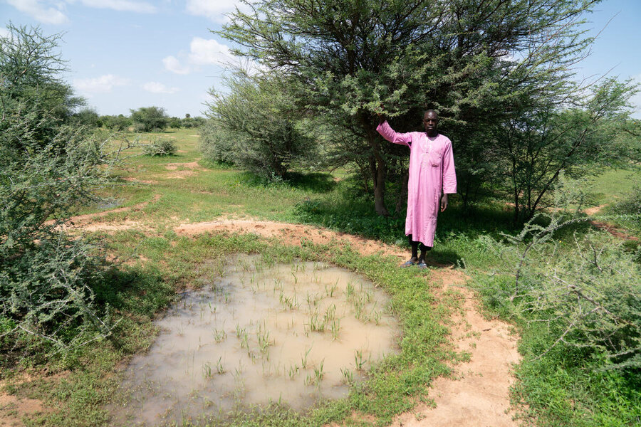 A farmer in Rafa, Gazoua, Niger, participating in a WFP-backed half-moon project to rehabilitate parched land