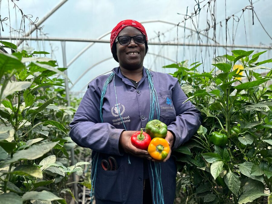 Racheal, a resident of a poor district in Nairobi, takes part in a WFP hydroponics project in Kenya WFP/Brian Wanene