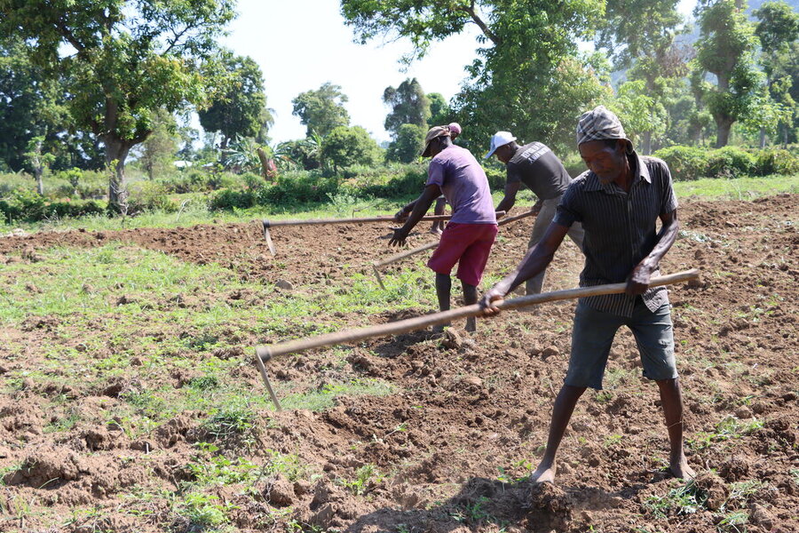 Farmers tilling a field in Haiti