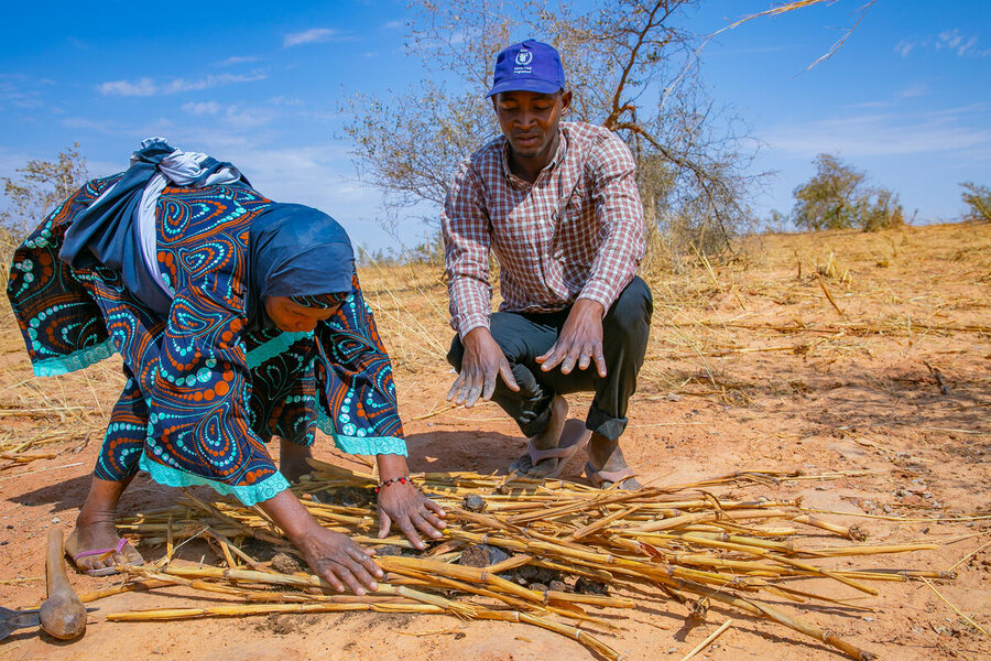 A man and a woman both farmers take part in a resilience project in Niger