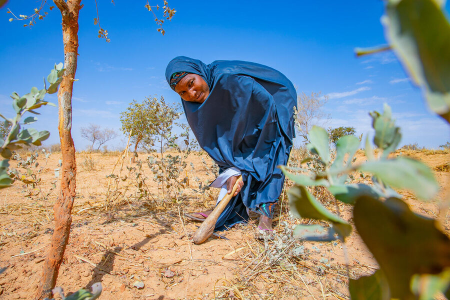 A woman planting in Niger