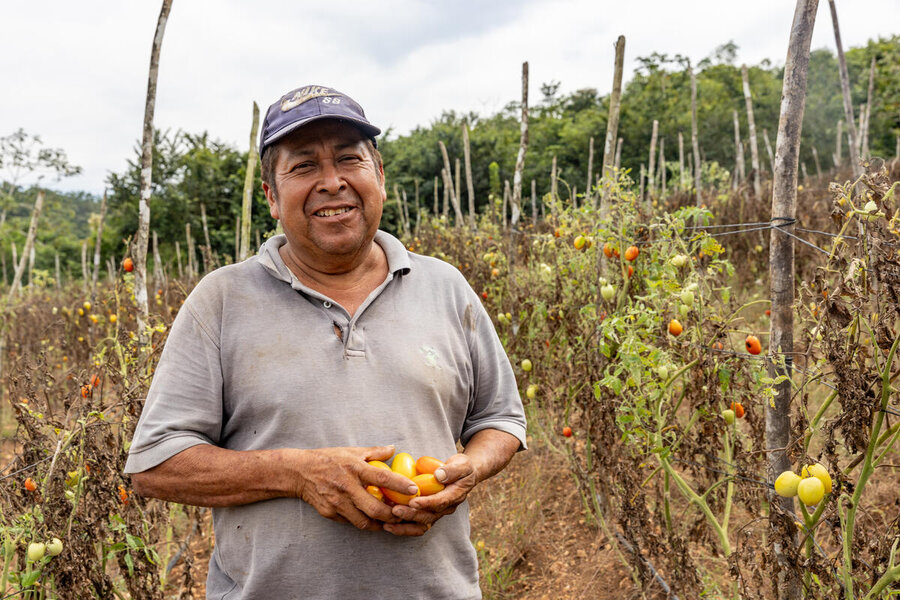 In Cayo province, Ephrain Cho is growing melon, tomato, banana and peanut crop again thanks to WFP cash assistance 