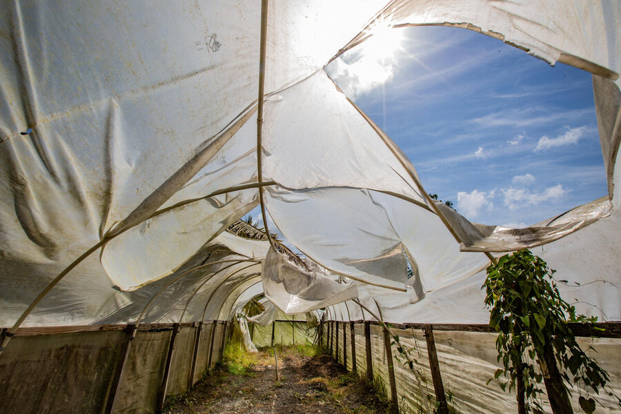 The cover of a greenhouse remains torn two years after cyclone Lisa struck Belize in 2022