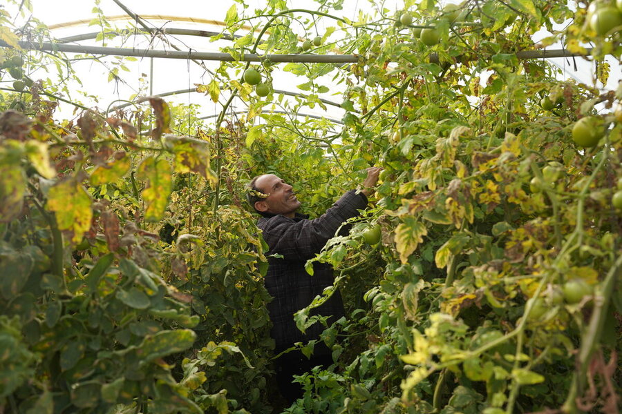 lebanon farmer