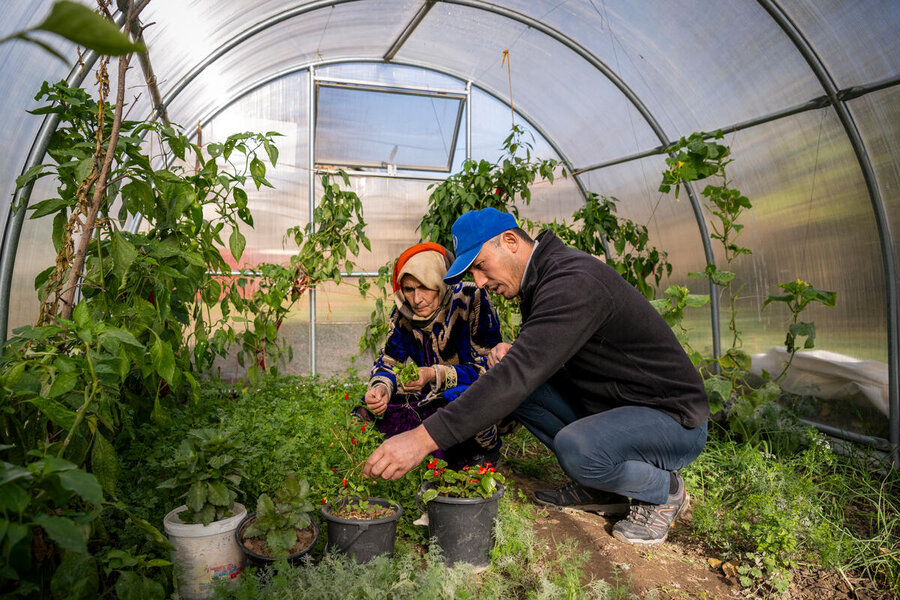 WFP agronomist Dalerjon Nabiev offers Solihova technical tips on maximizing her greenhouse yields. Photo: WFP/Giulio d'Adamo
