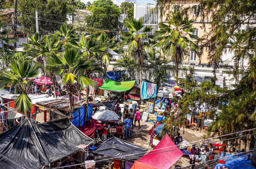 A scene of a displaced communit's tents among palm or coconut trees in Haiti