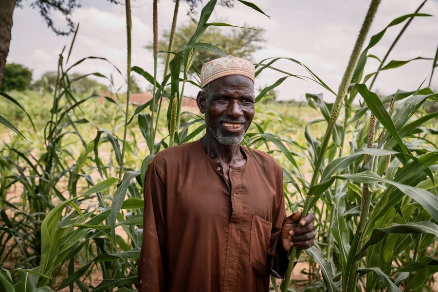 A farmer stands next to his millet crop in Niger. He's one of many benefitting from a WFP-supported initiatives to boost harvests and resilience to hunger shocks. Photo: WFP/Evelyn Fey