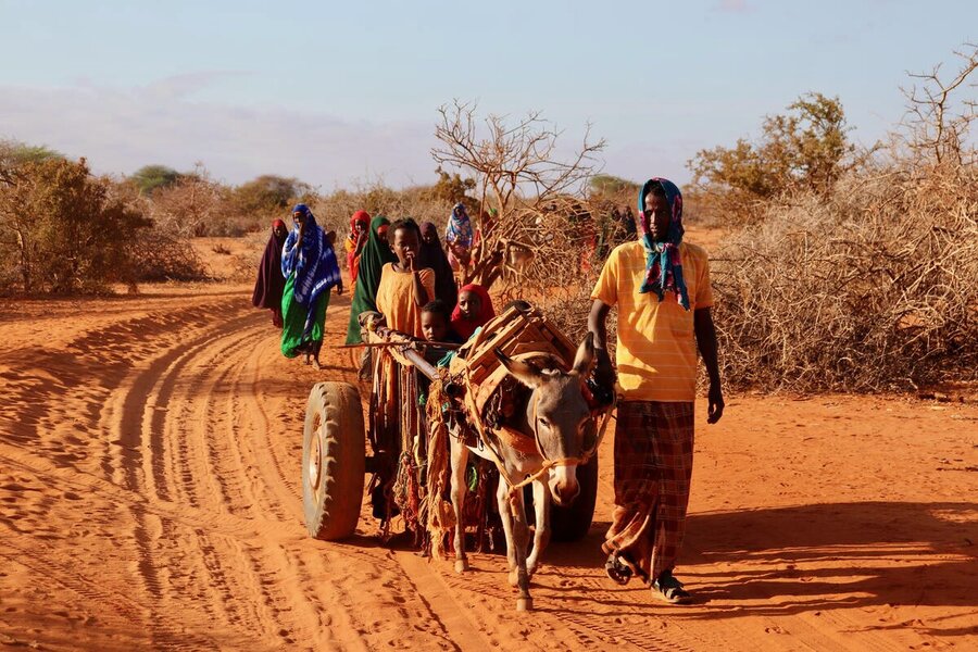 A displaced Somali family and their family walking down a sandy path. They count among 3.9 million people on the move. Photo: WFP/Petroc Wilton