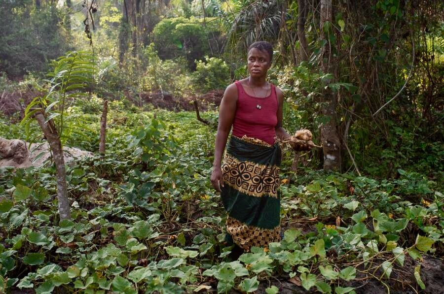 A woman farmer wearing a red shirt and long skirt holds an orange-fleshed sweet potato in her hand. Photo: WFP/Olivia Acland