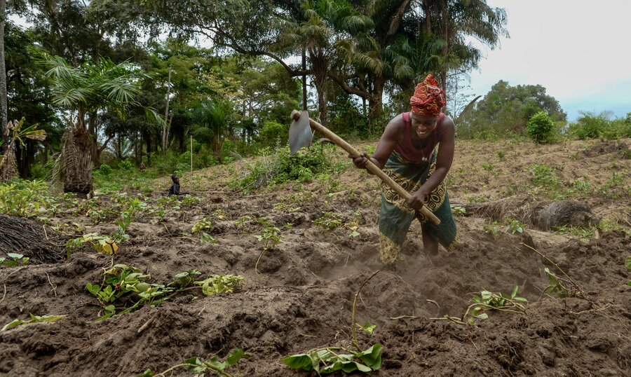 A female farmer in a red headscarf tills the soil with a wood and metal hoe. Photo: WFP/Olivia Acland