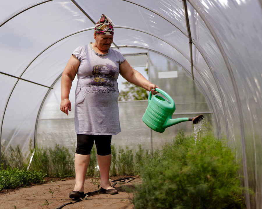 Woman waters plants in a curved greenhouse in Ukraine