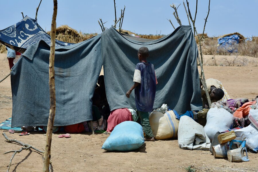 The back of a small boy heading to a blue-grey cloth tent held up by sticks at Tawila displacement camp. WFP/Mohamed Galal