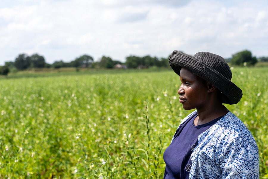 A woman in a blue shirt and dark hat looks over a flowering field of sesame. Photo: WFP/Christopher Charamba