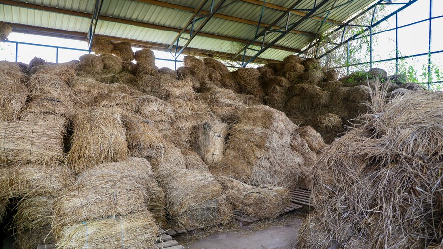 Bales of hay piled up in a barn. Photo: WFP/Patrick Mwangi